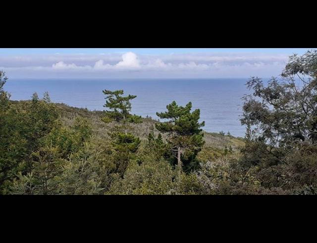 FARM FOR SALE IN HANSMOESKRAAL